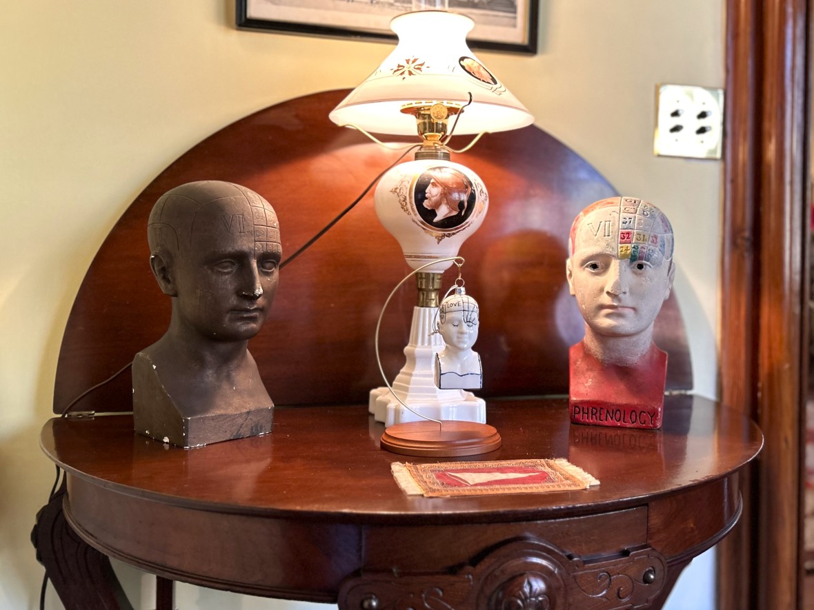 Phrenology busts