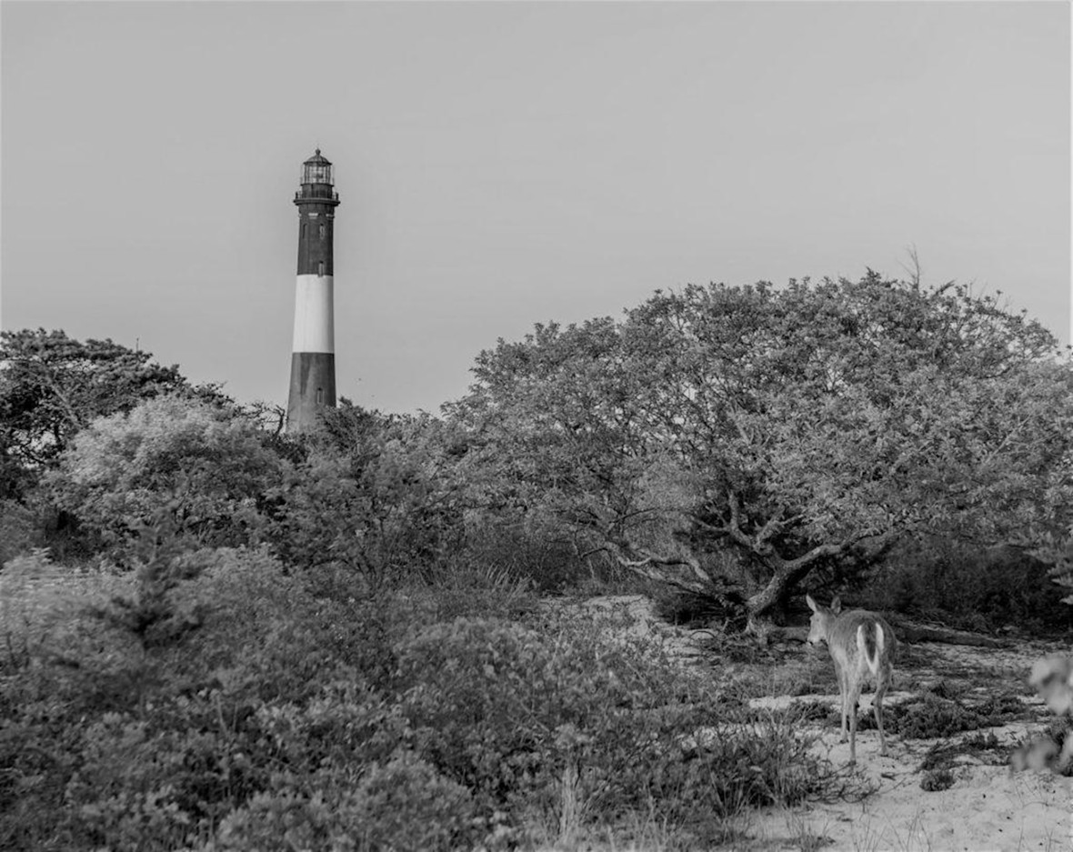 fire island lighthouse