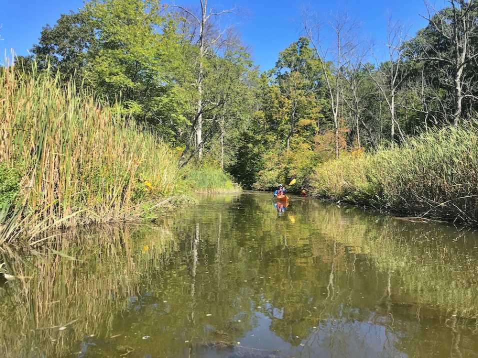 Kayaker paddling out of Constitution Marsh