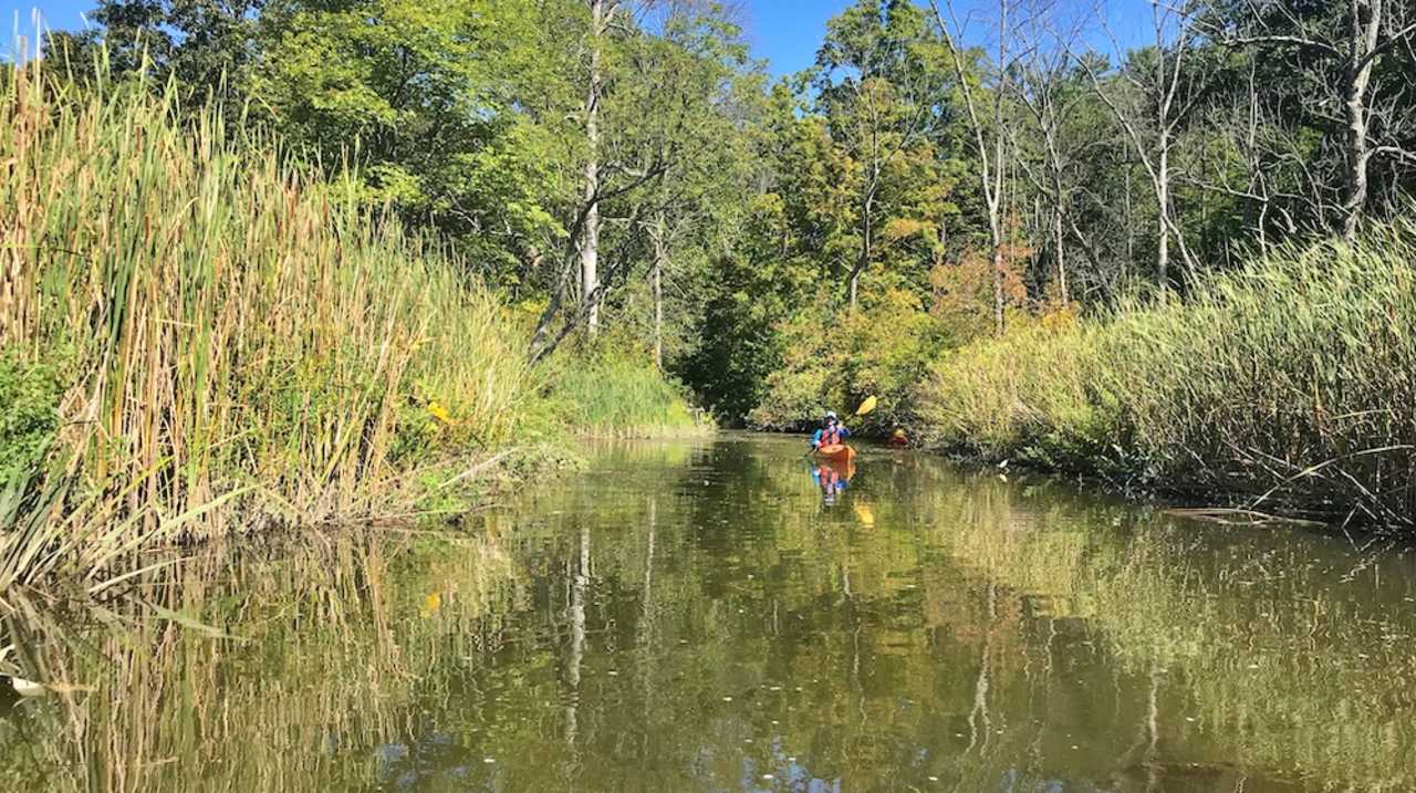 Kayaker paddling out of Constitution Marsh