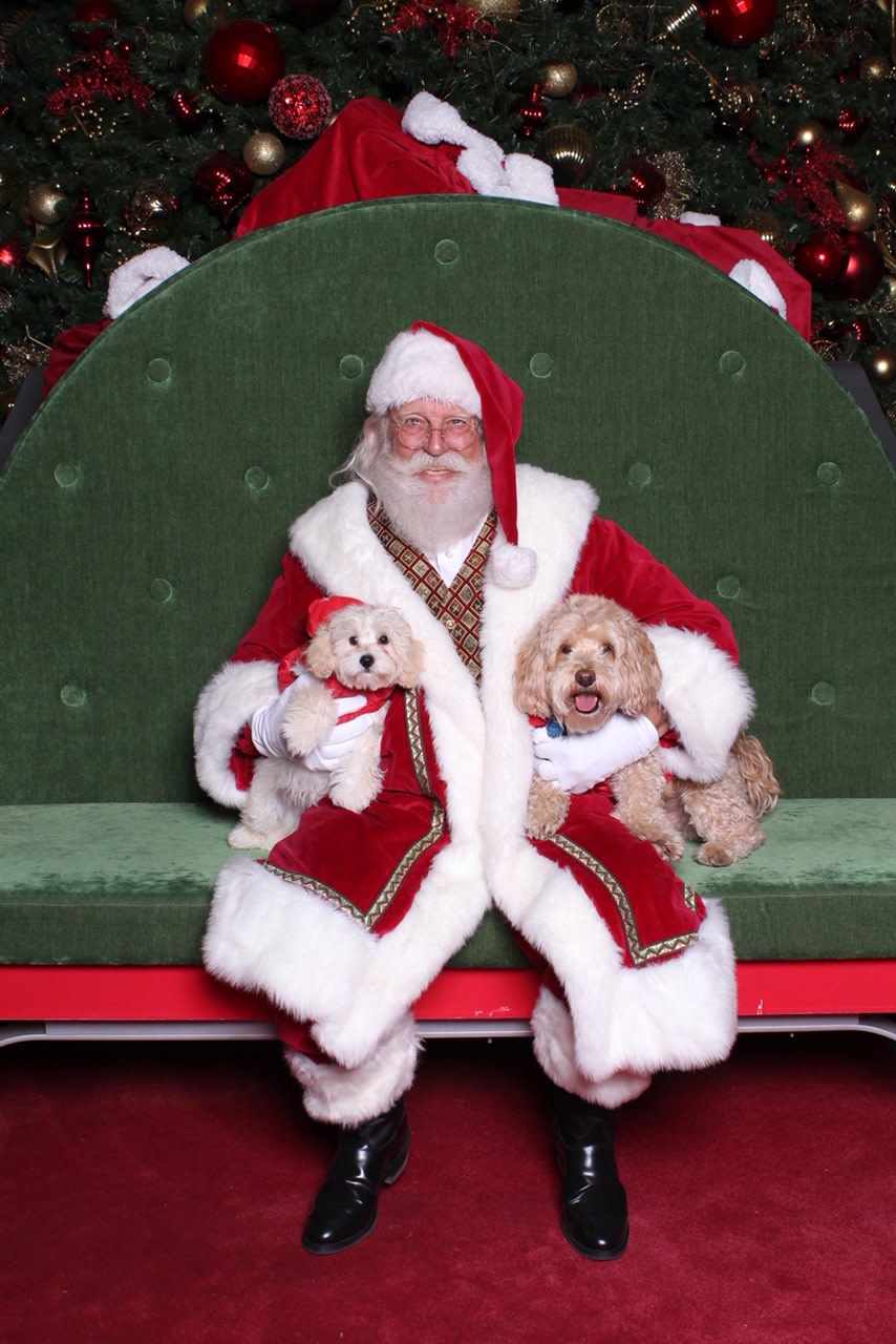 Pet Night With Santa at Roosevelt Field Mall