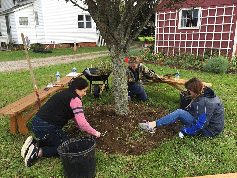 Volunteers with Peconic Land Trust spring cleaning at Ag Center at Charnews Farms