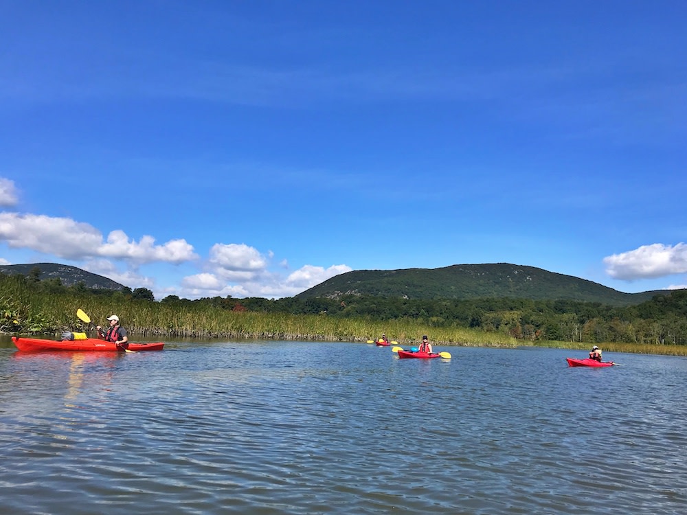 A group of kayakers on the open water in front of marsh grass and mountains in the distance