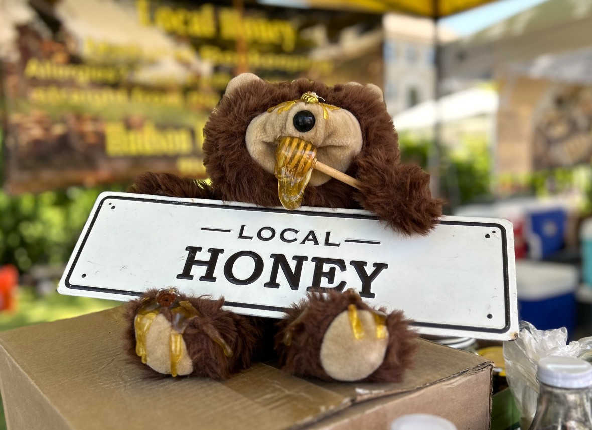 Pleasantville farmers market honey bear