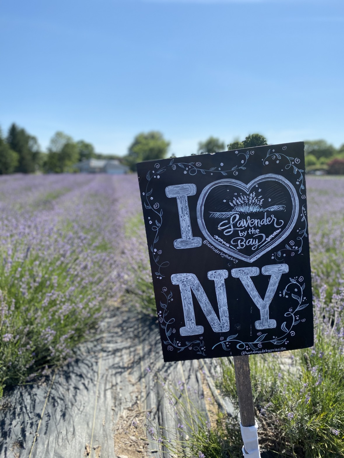 I Love NY sign at Lavender by the Bay