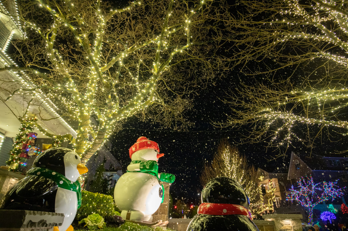 Dyker Heights lights