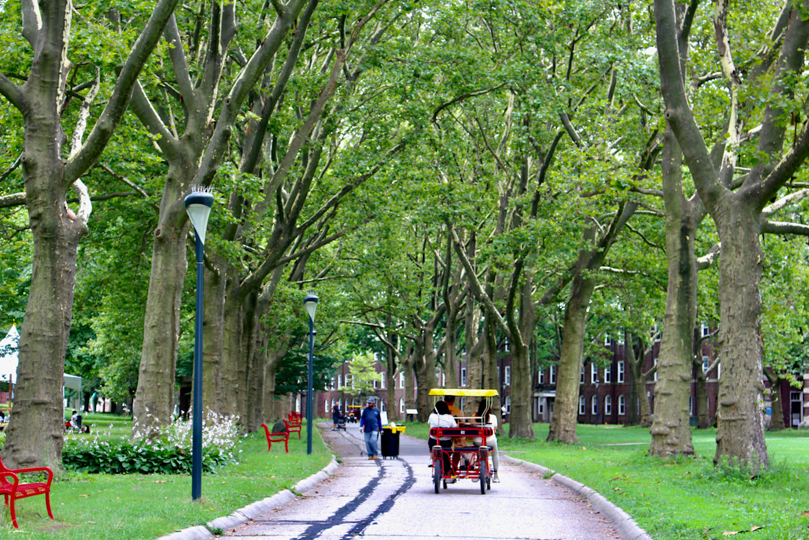 A Surrey bike riding down a tree lined path on Governor's Island