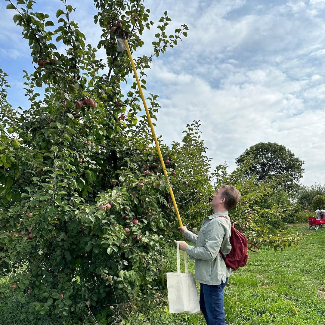 Apple picking at Wilkens Fruit & Fir Farm