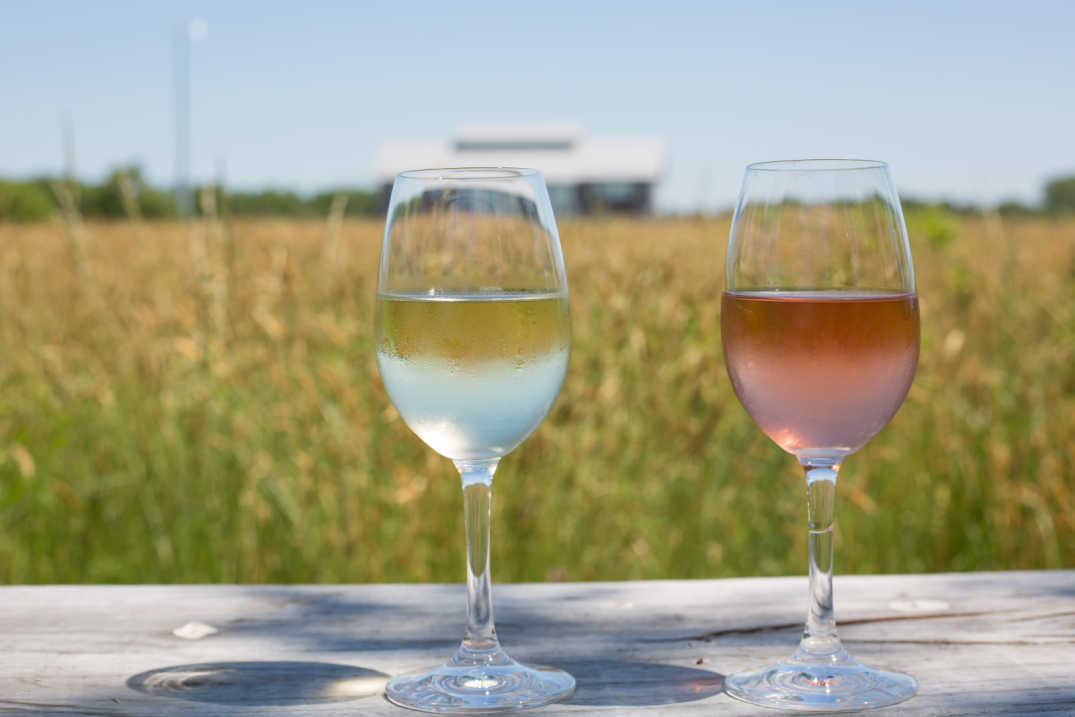 A glass of white wine next to a glass of rose with a field of Kontokosta Winery in the background