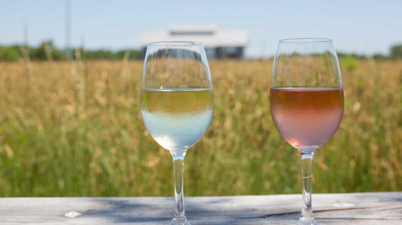 A glass of white wine next to a glass of rose with a field of Kontokosta Winery in the background