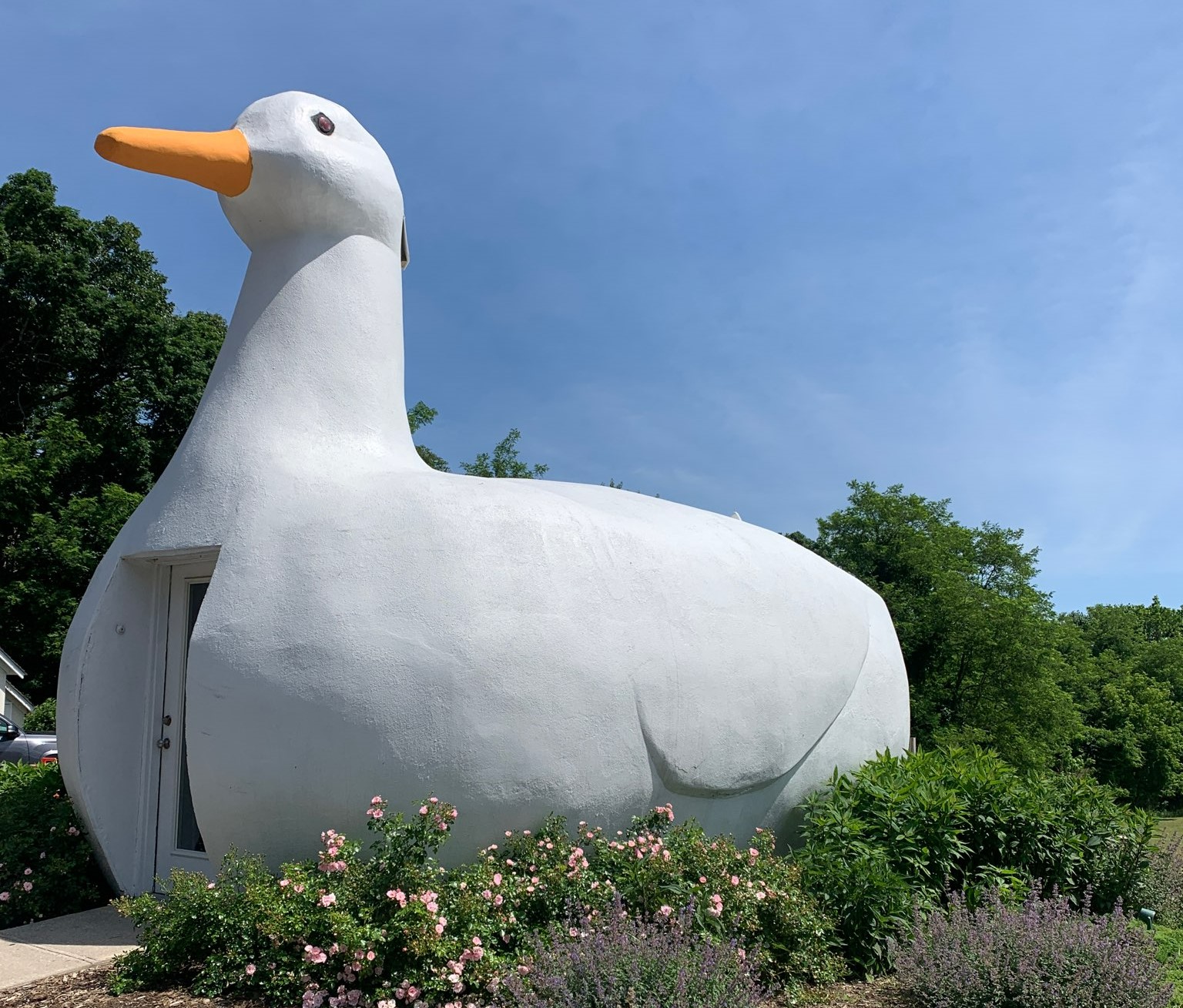 NY S Cherished Roadside Attraction Long Island S Big Duck Is A Train   The Big Duck 