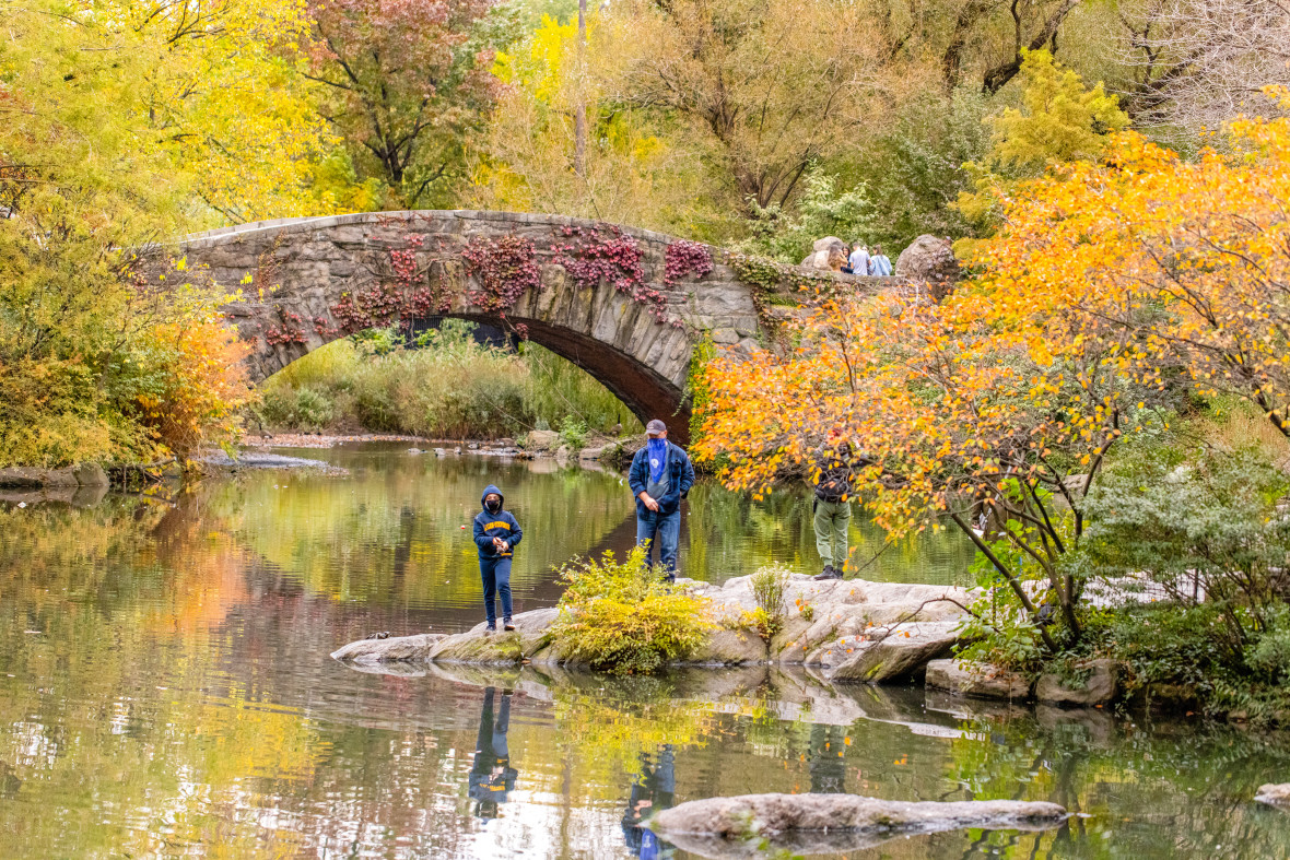 The Pond & Gapstow Bridge