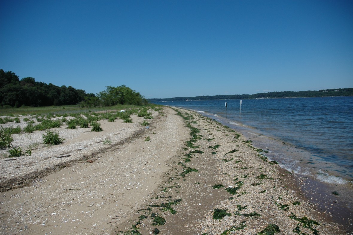 Sagamore Hill Beach (NPS)