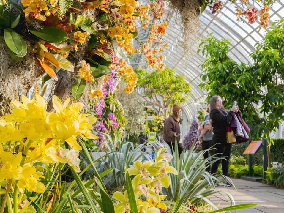 The Orchid Show: Florals in Fashion 