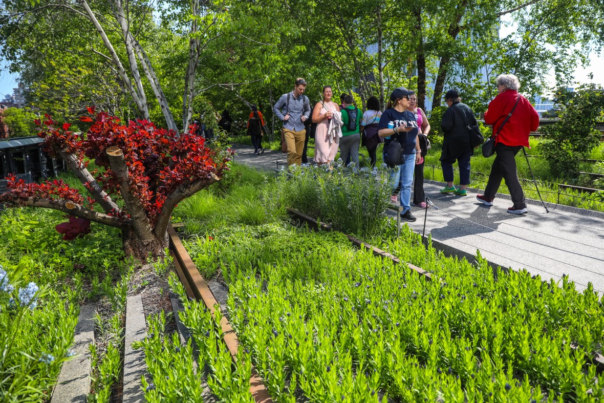 New York City: Secrets Of High Line Park Walking Tour