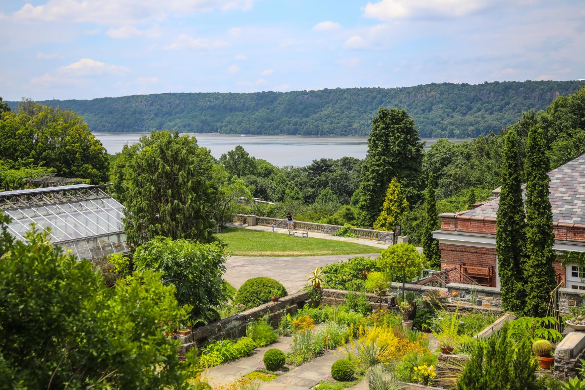 View from Wild Garden 