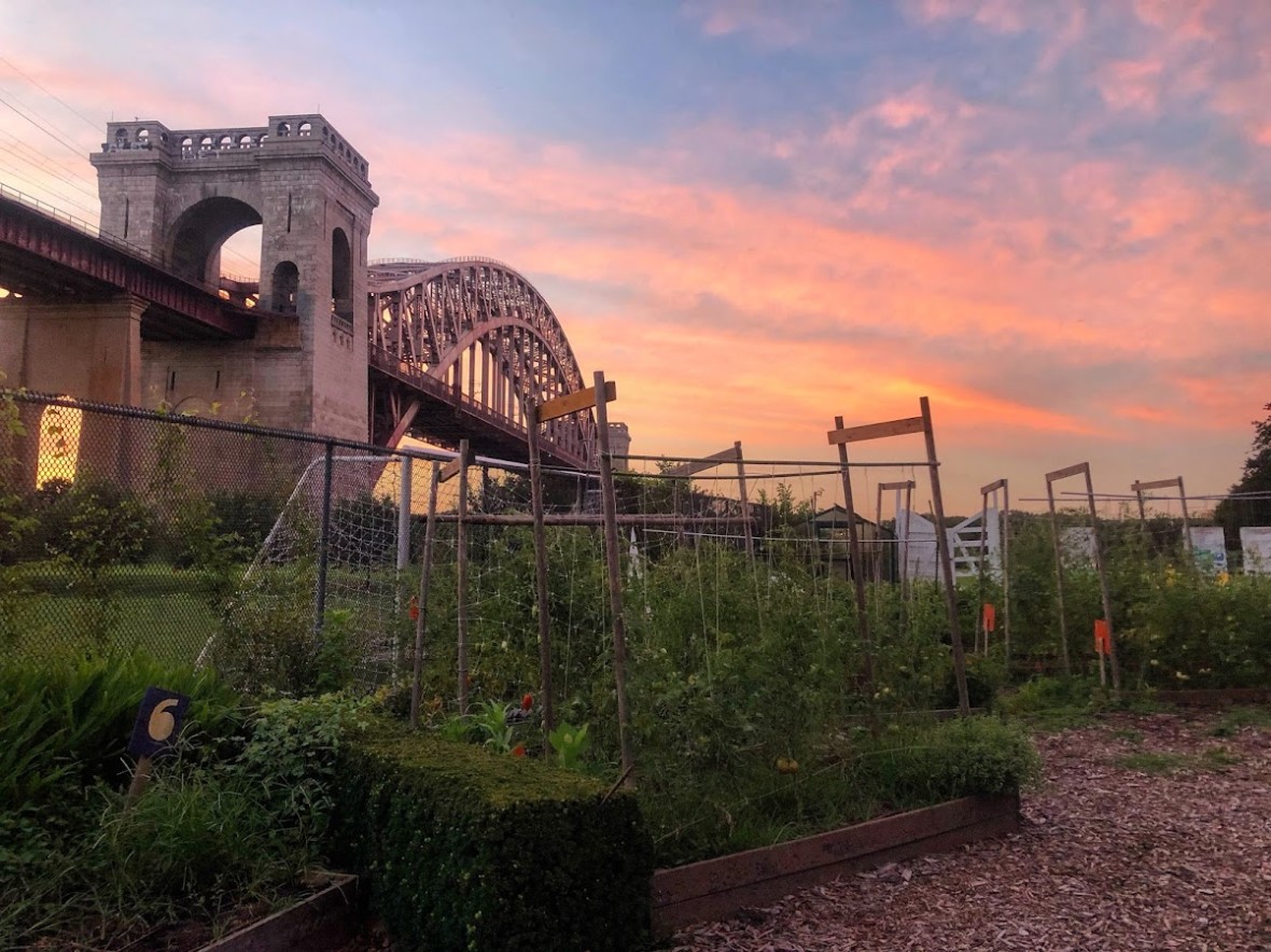 The sun setting over Randall's Island Urban Farm with the Hell Gate Bridge in the background