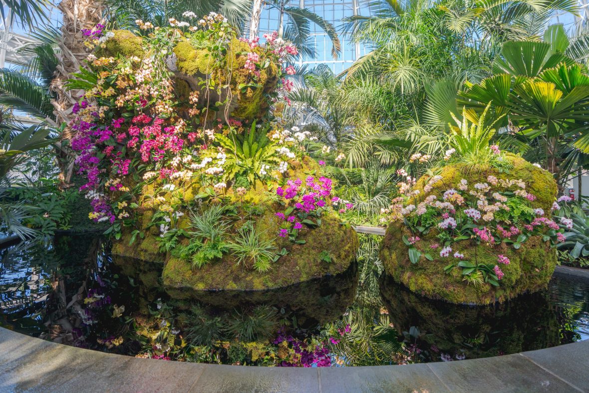 NYBG Orchid Show 
