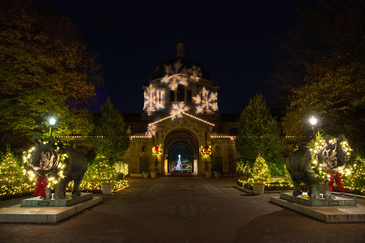 Bronx Zoo's Holiday Lights