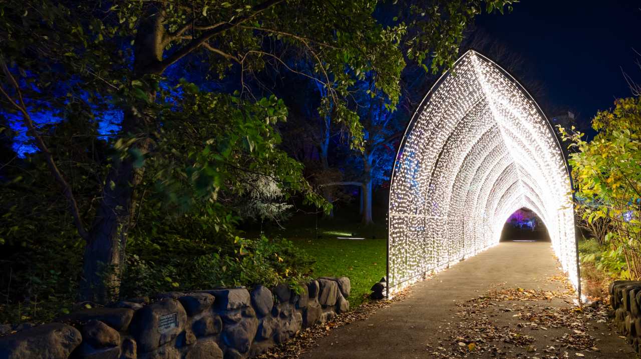 BBG Lightscape Winter Cathedral