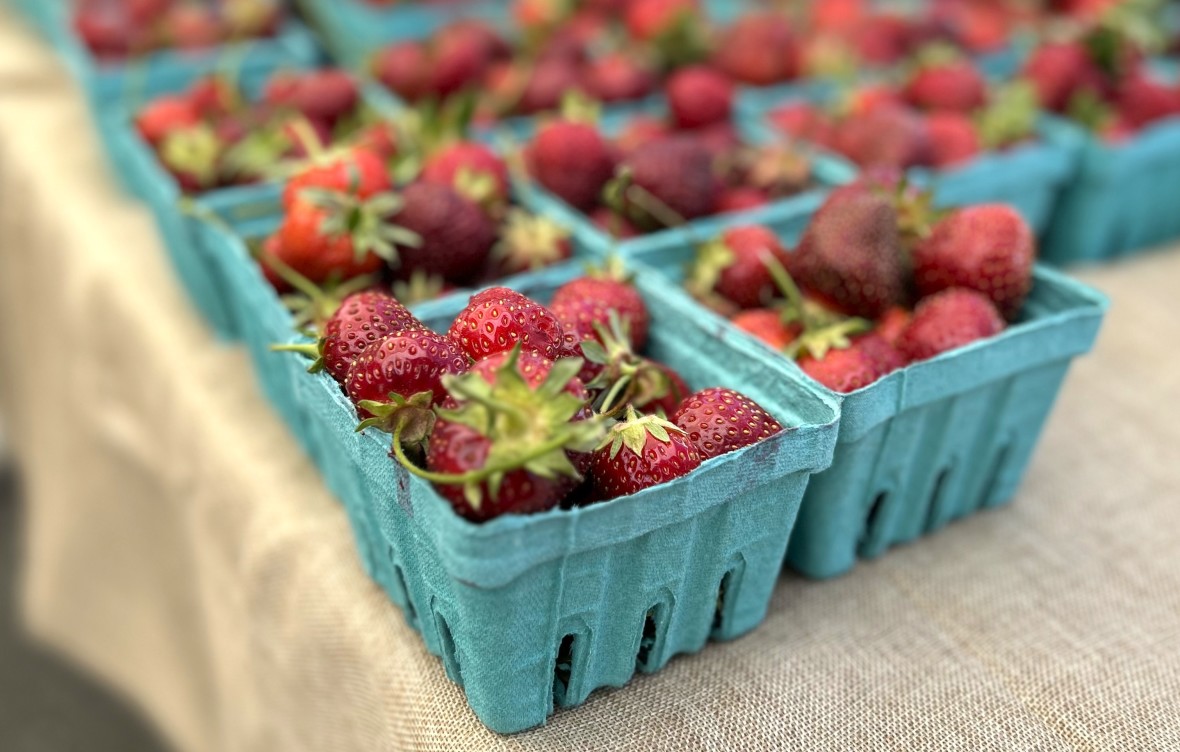 Pleasantville farmers market strawberries