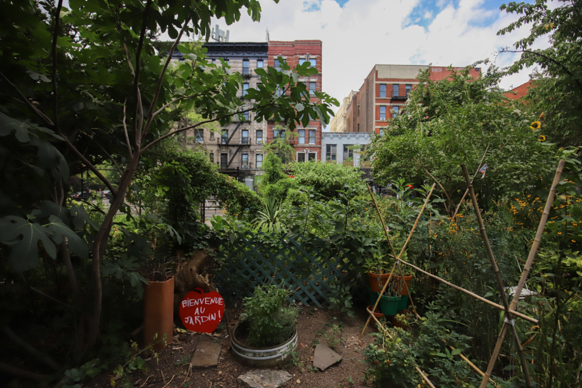 9th Street Community Garden