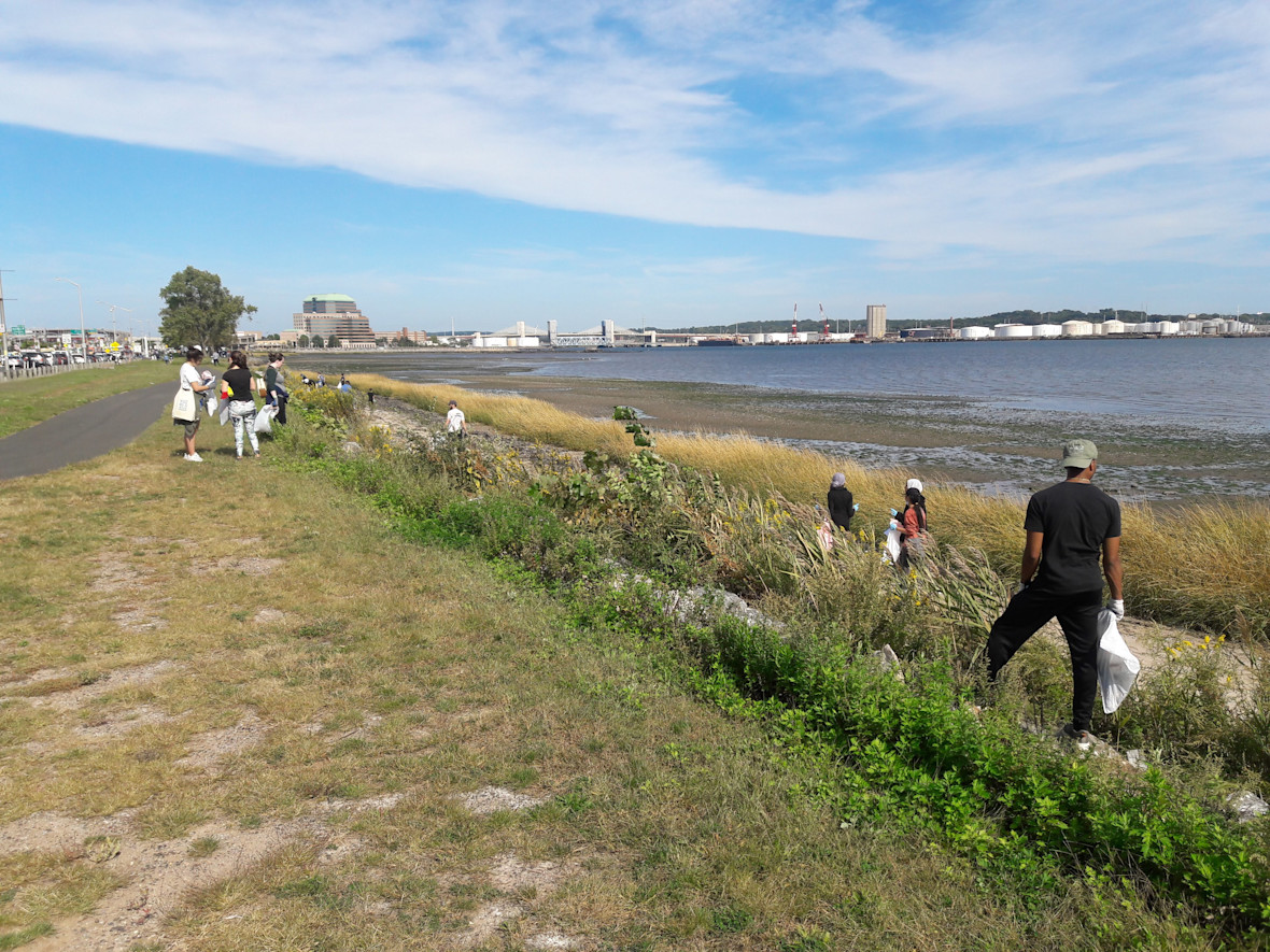 Volunteers from Save the Sound cleaning up the shoreline at Long Wharf in New Haven