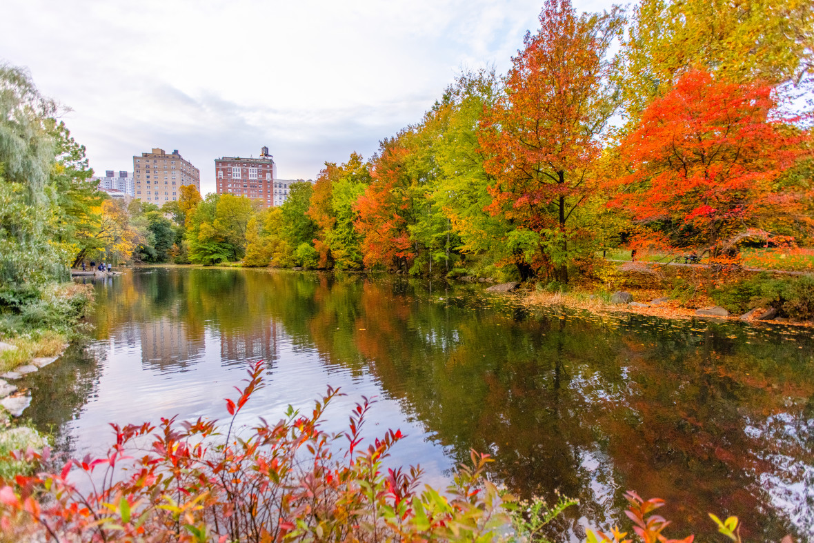 The Pool in Autumn 2