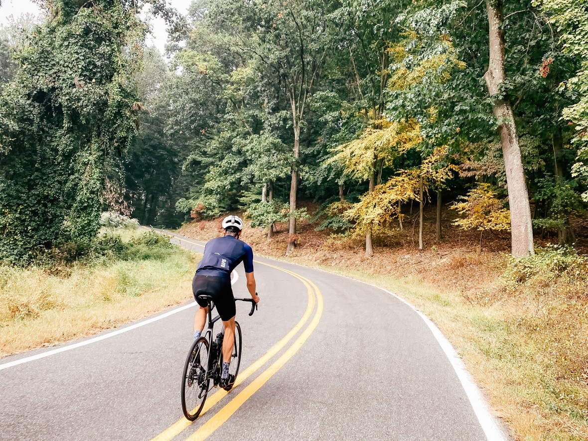 Biker rounding bend on tree lined road