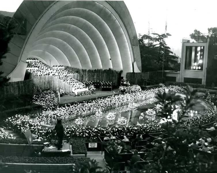 Thousands of lilies decorate the stage and pool