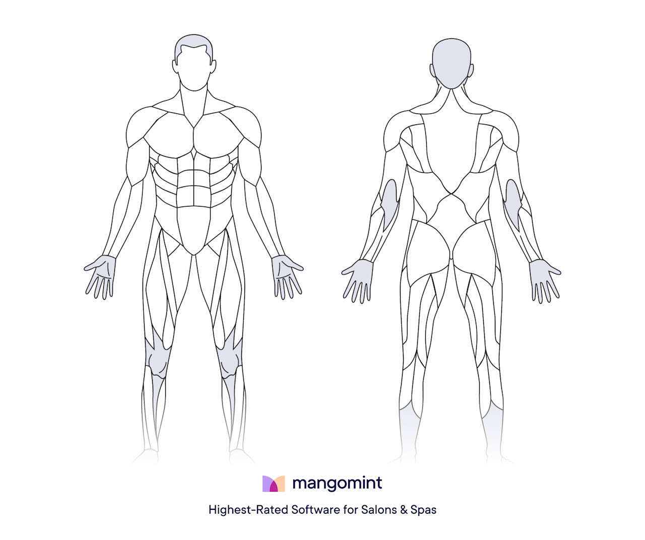 Free body chart template downloads (PDF) | Mangomint Salon and Spa Software