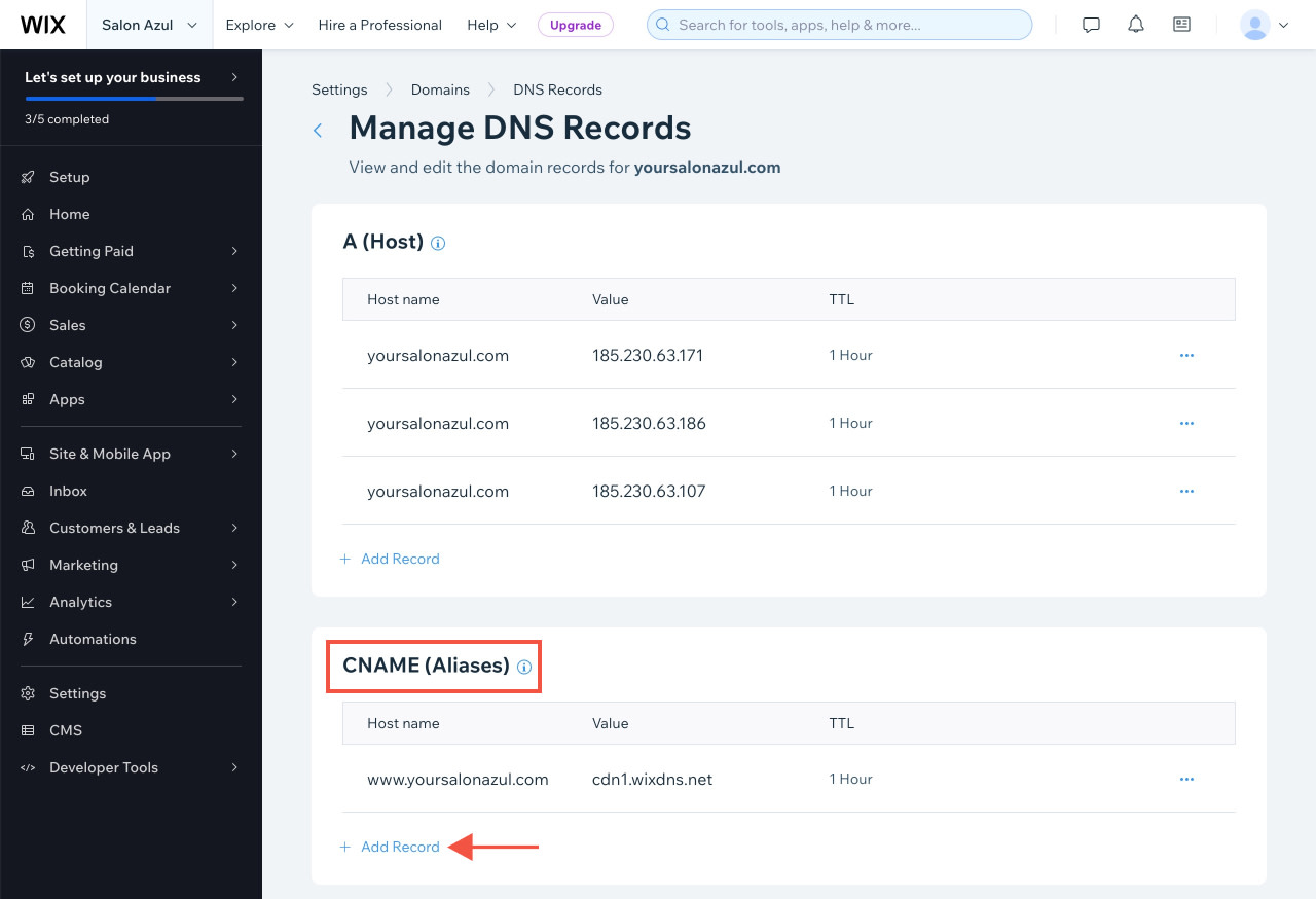 Adding DNS Records to Wix | Mangomint Salon and Spa Software