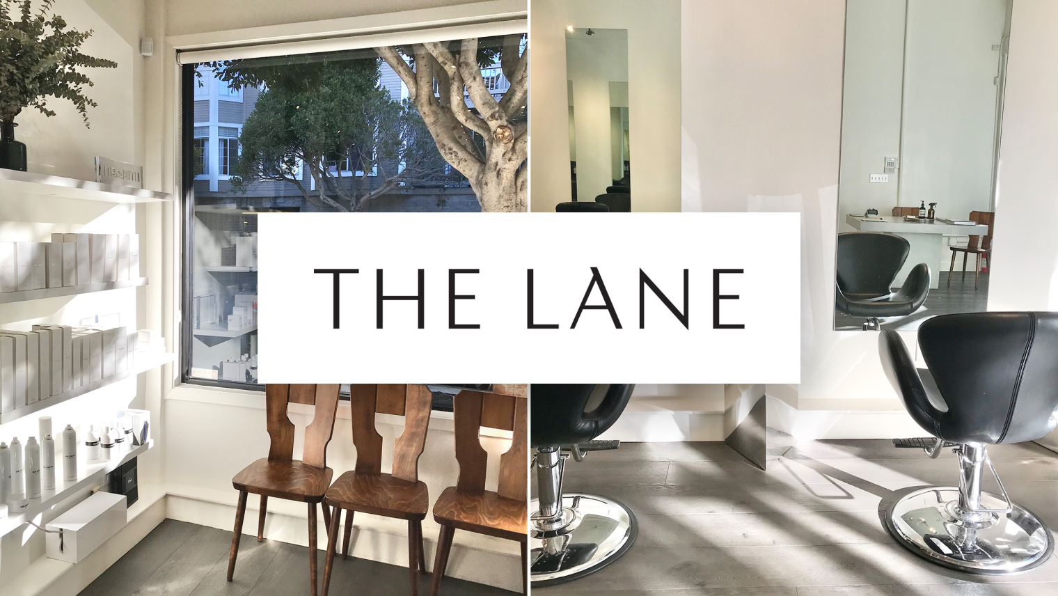 Mangomint Women Leader Series: Stevie Lane of The Lane