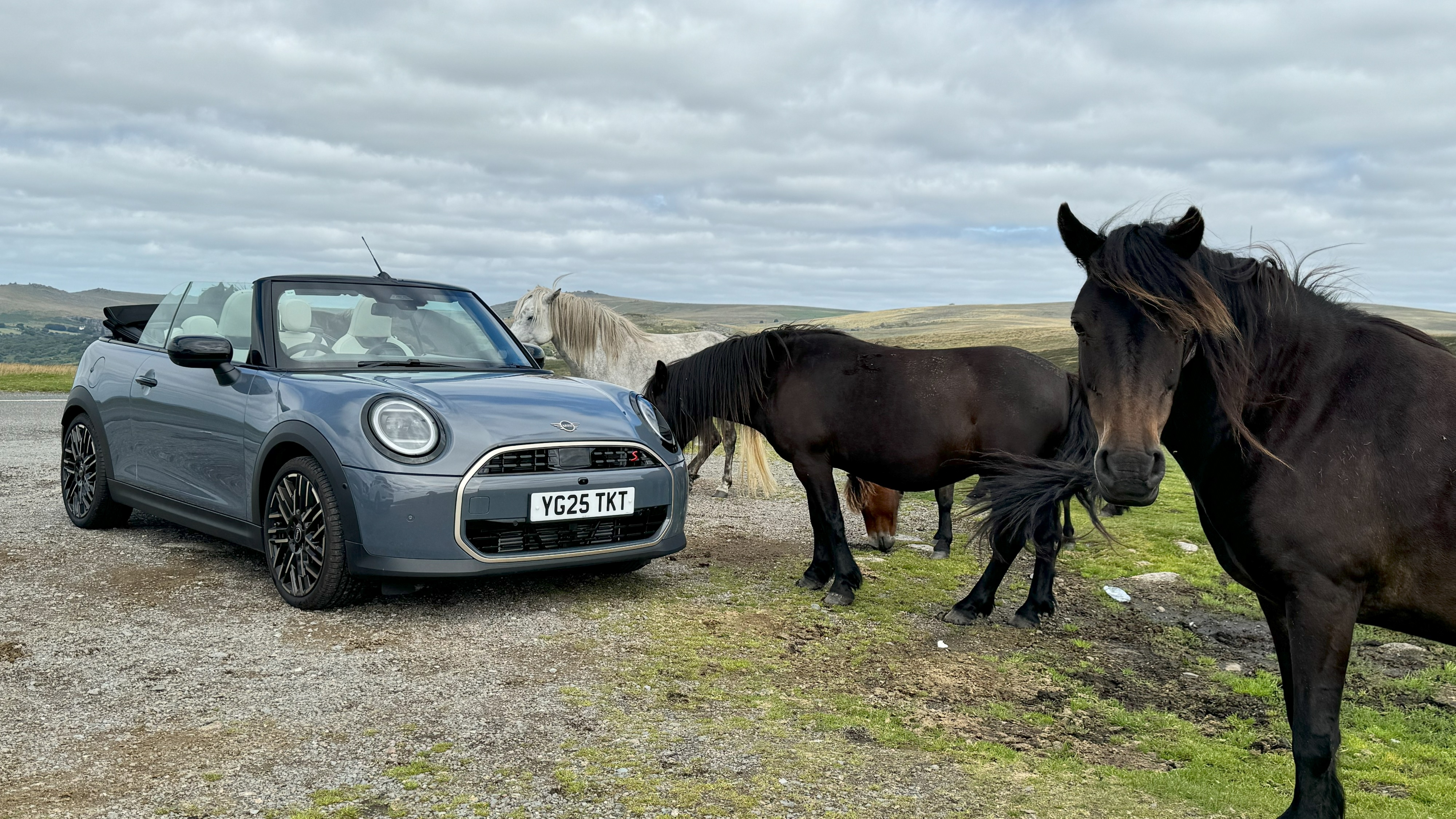 There’s Moor to Sea with a MINI Convertible 24 HOURS IN DEVON WITH THE ROOF DOWN.