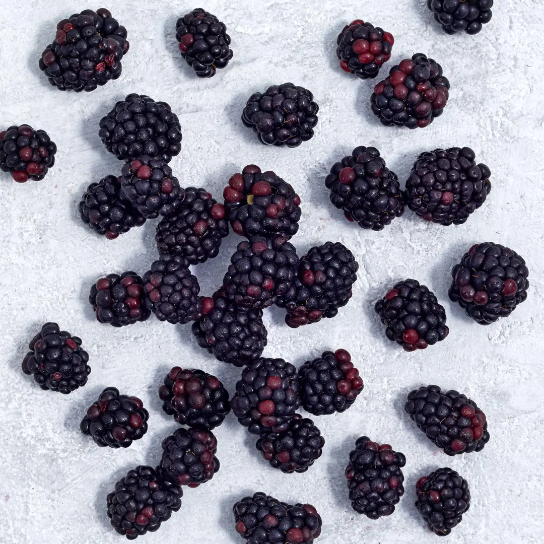 Yellowberry - Budding Berry Bra Snowflake - FINAL SALE – Fierce
