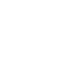 Instagram Icon White