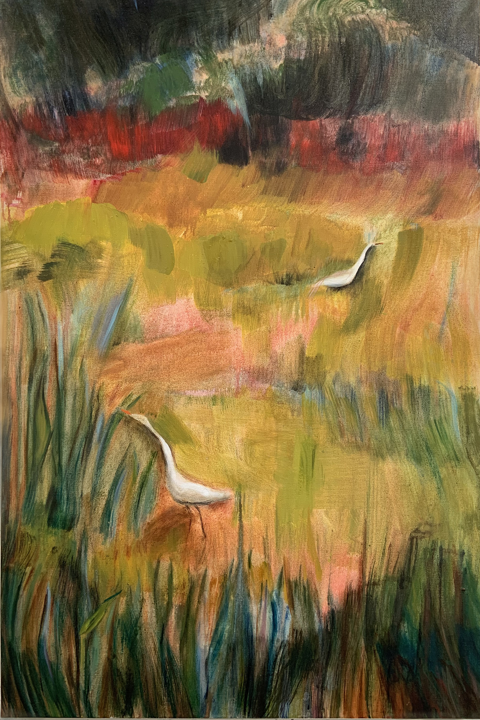 Cape cod Egrets 120 x 80