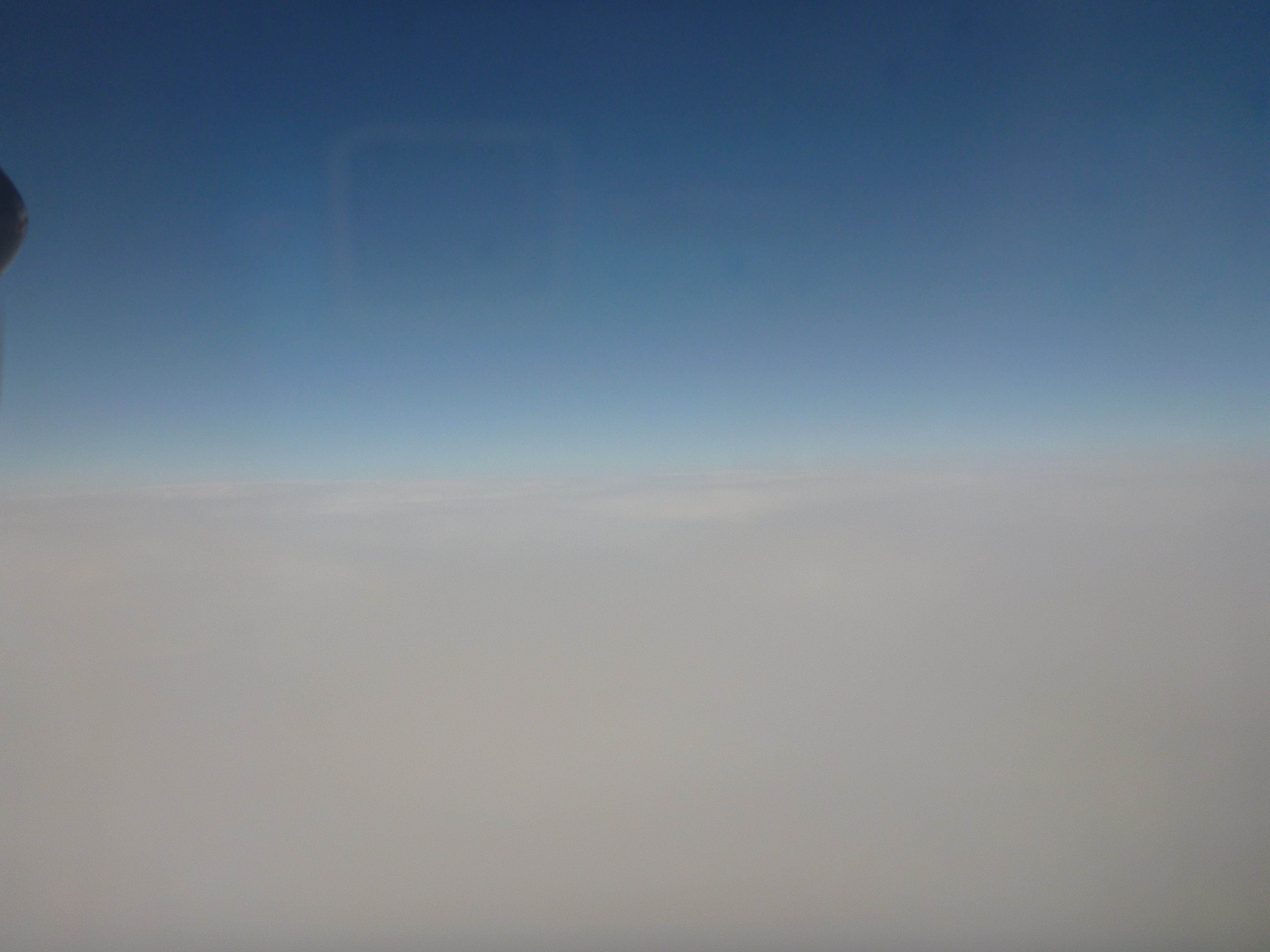 p1010888.jpg
