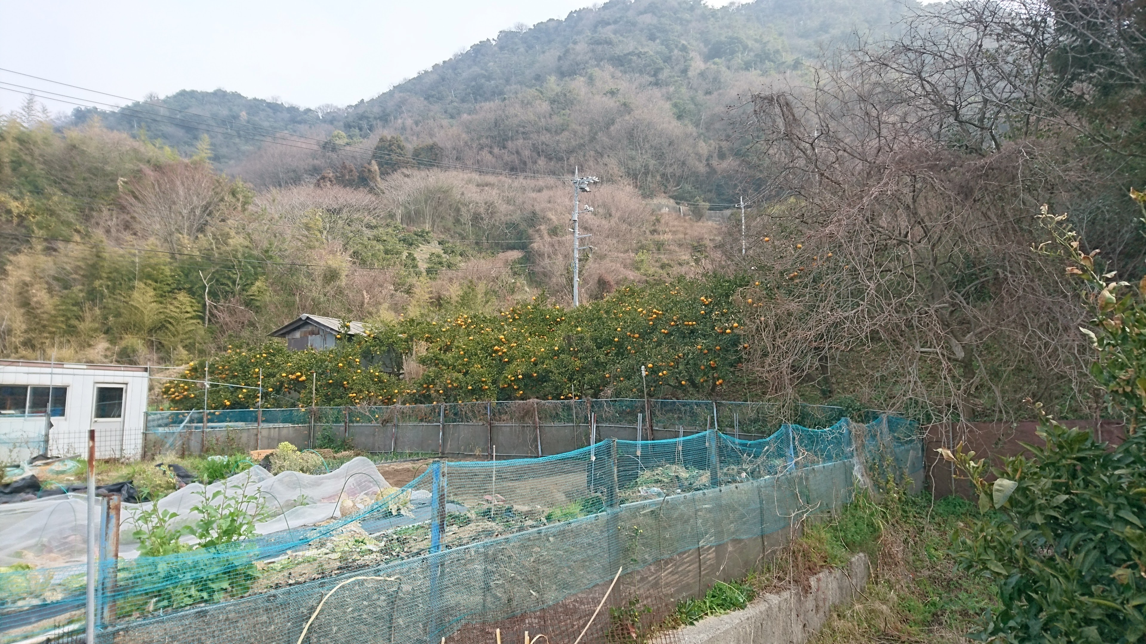 dsc_0273.jpg