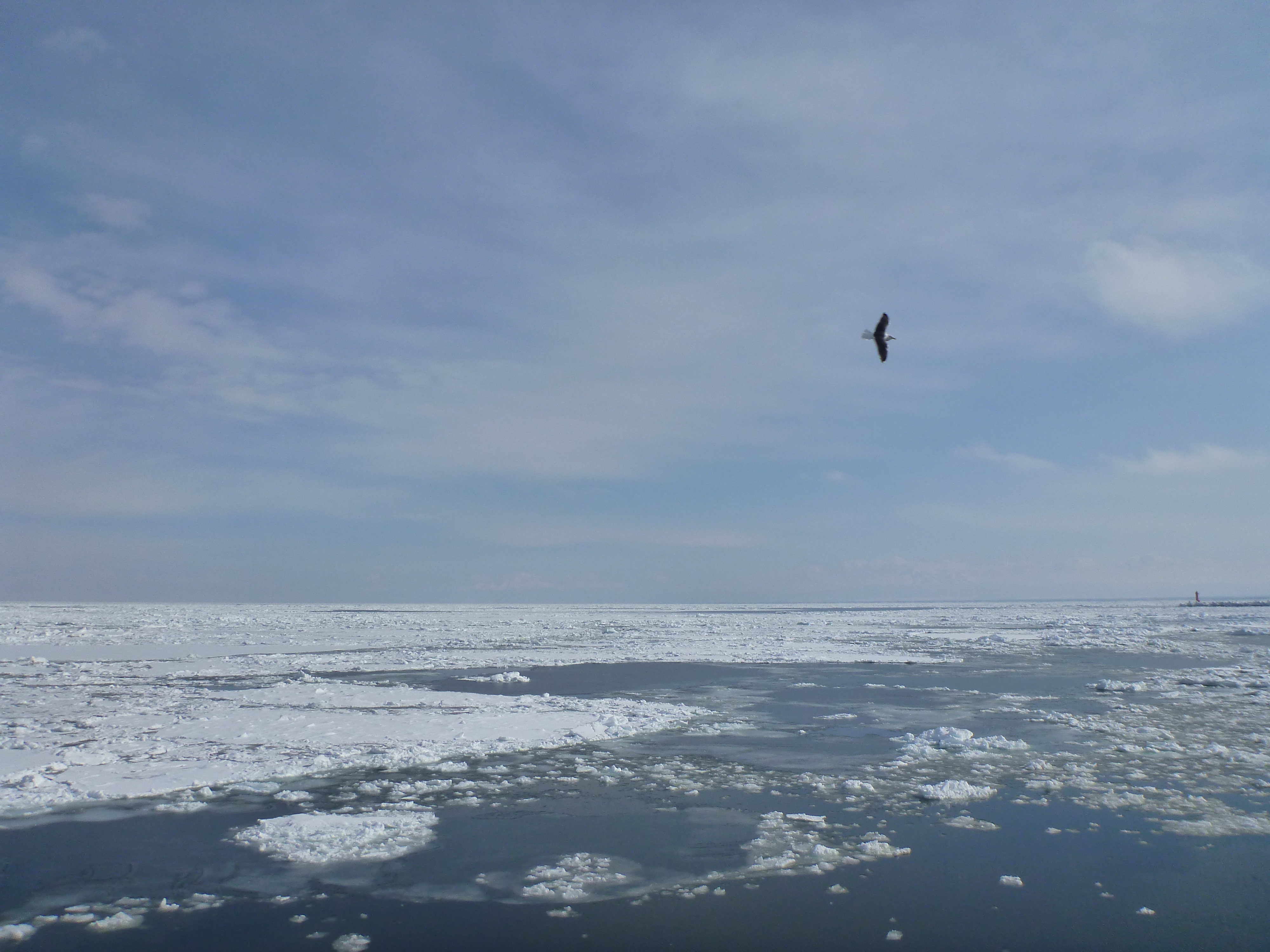 p1010918.jpg
