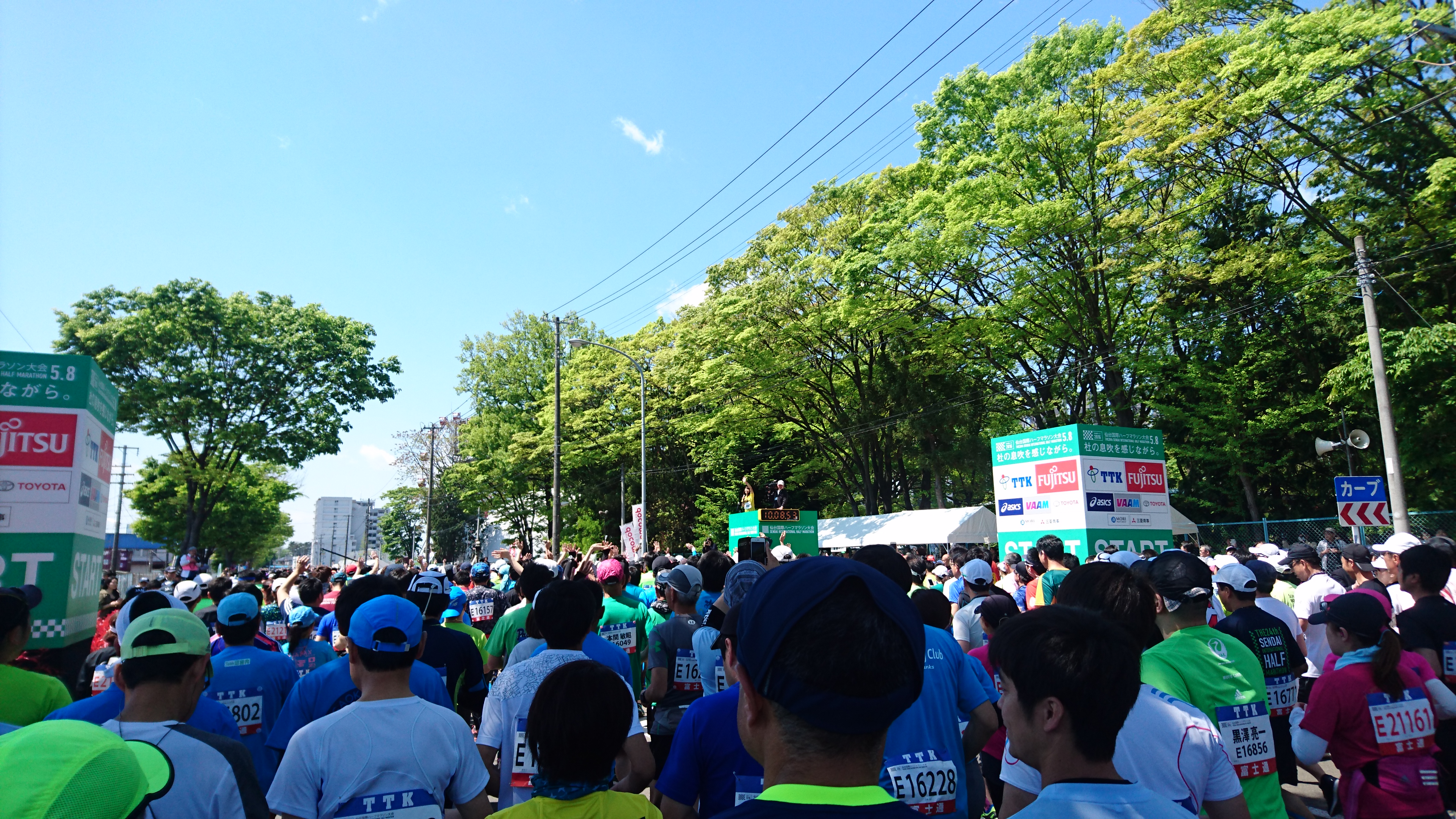 dsc_0530.jpg