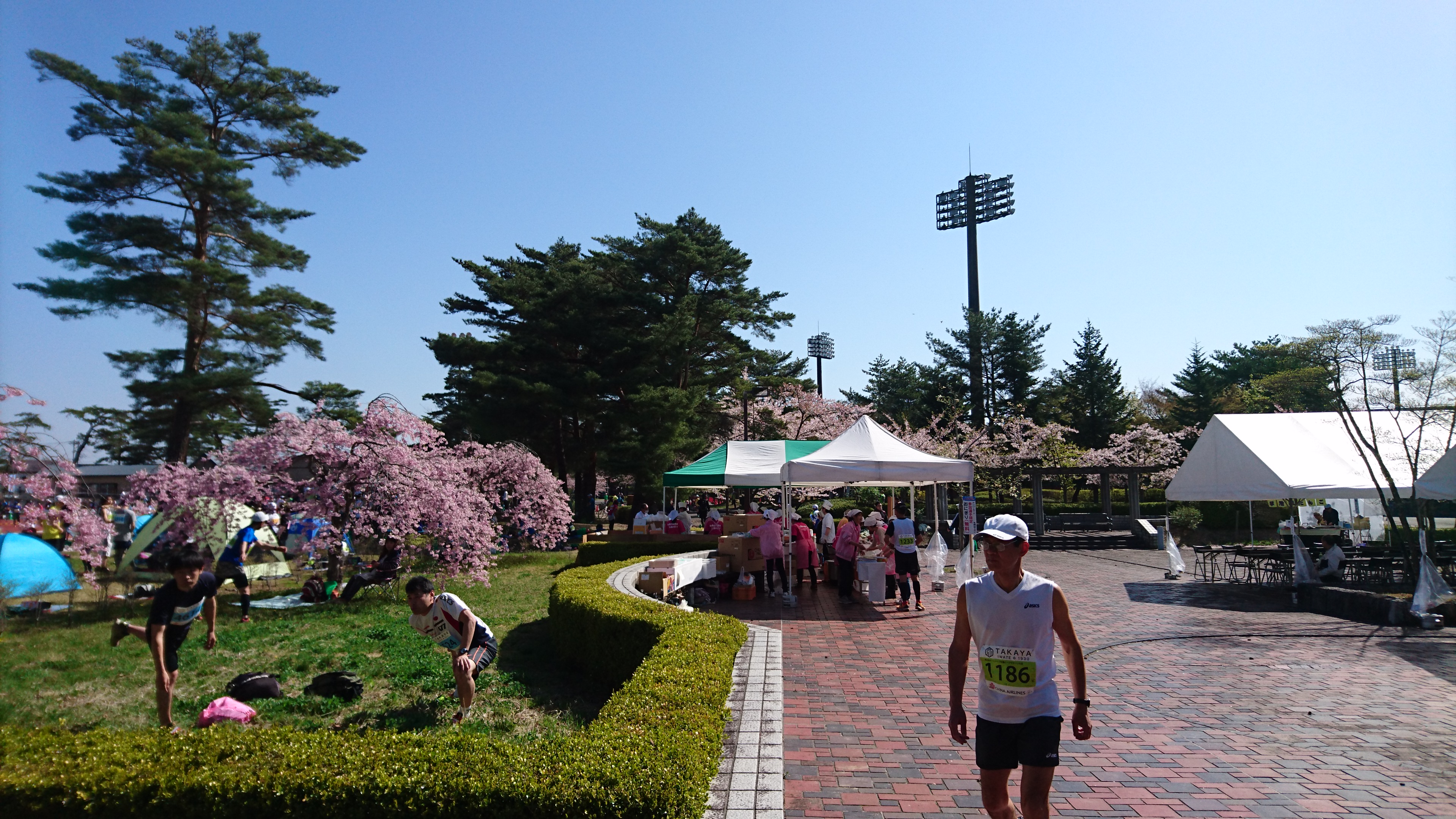 dsc_0485.jpg