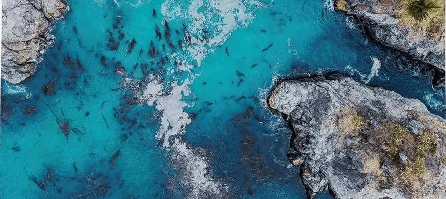 Aerial picture of the sea