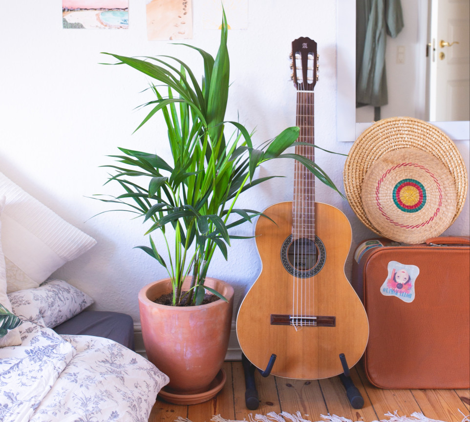 Guitar, plante og anden indretning i lejligheden