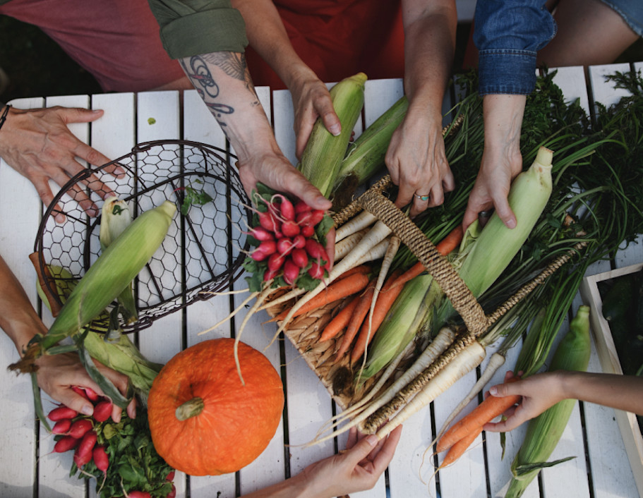 Bæredygtighed med venner