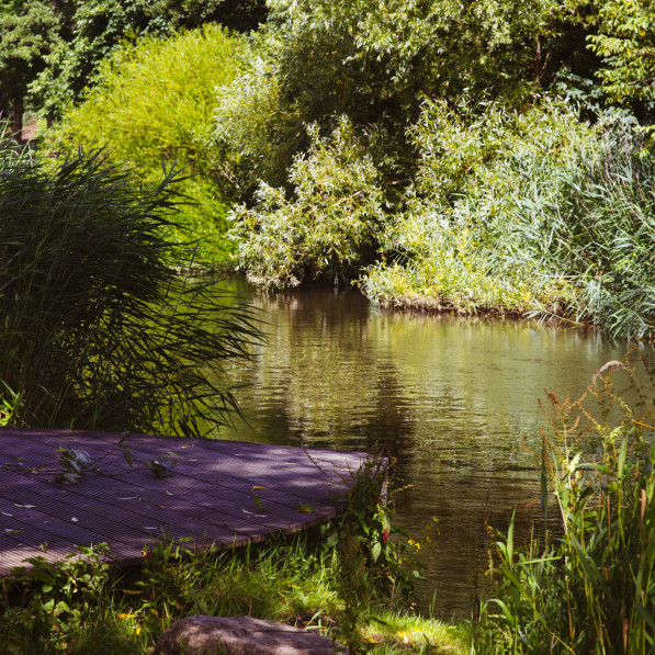 Hang out spot in nature by the stream