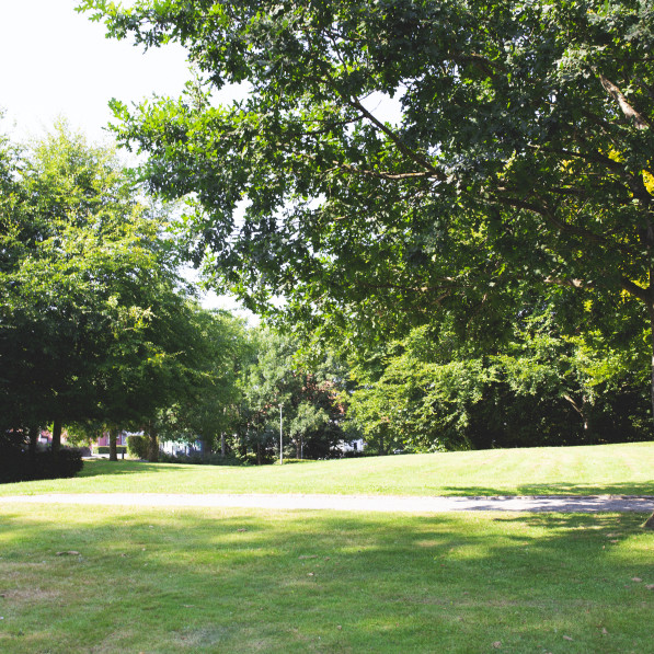 Grass and trees at Stejlbjerganlægget