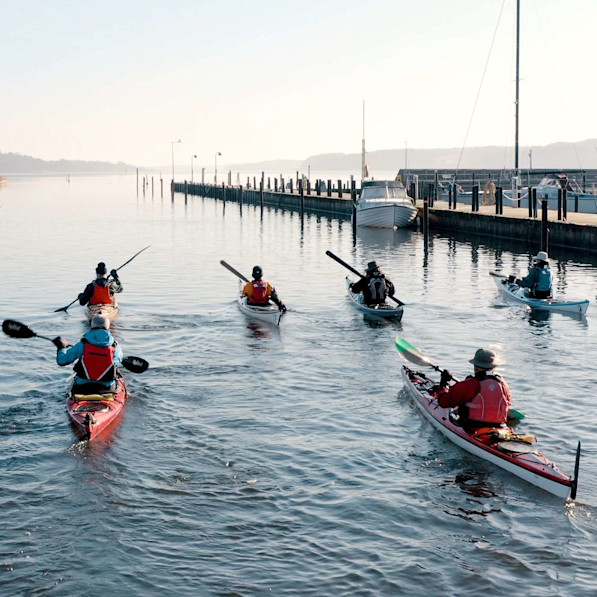 A group of people rowing