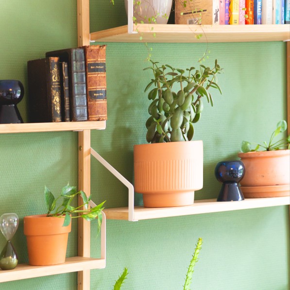 Grøn væg og træhylder med potteplanter og bøger