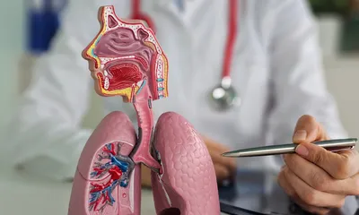 Is Idiopathic Pulmonary Fibrosis Hereditary